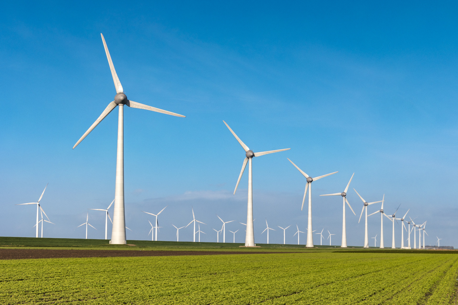 Wind Farm Turbines